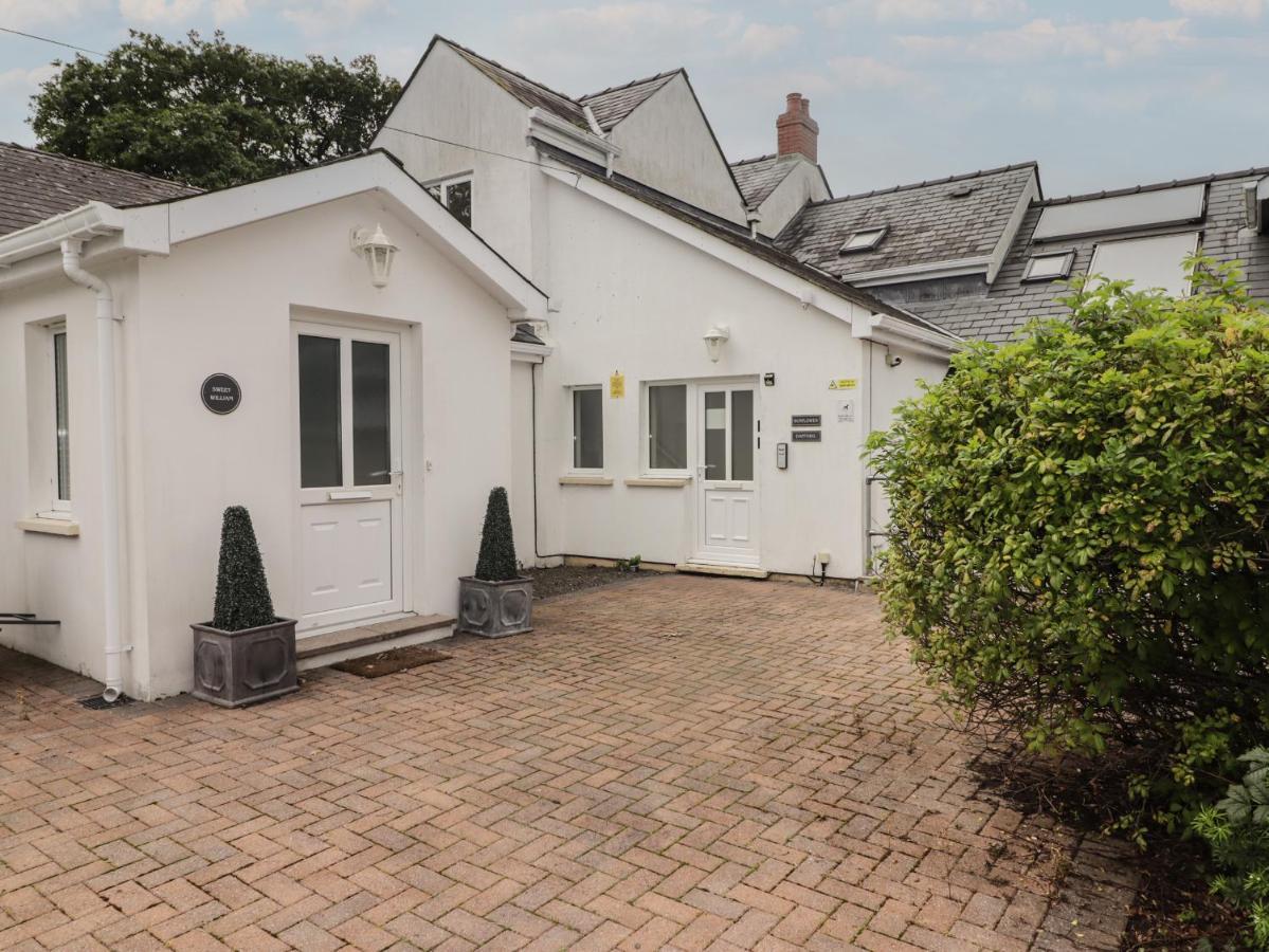 Daffodil Apartment Tenby Kültér fotó